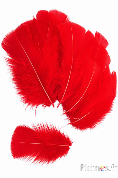 Tacchina - 6-8 cm - rosso